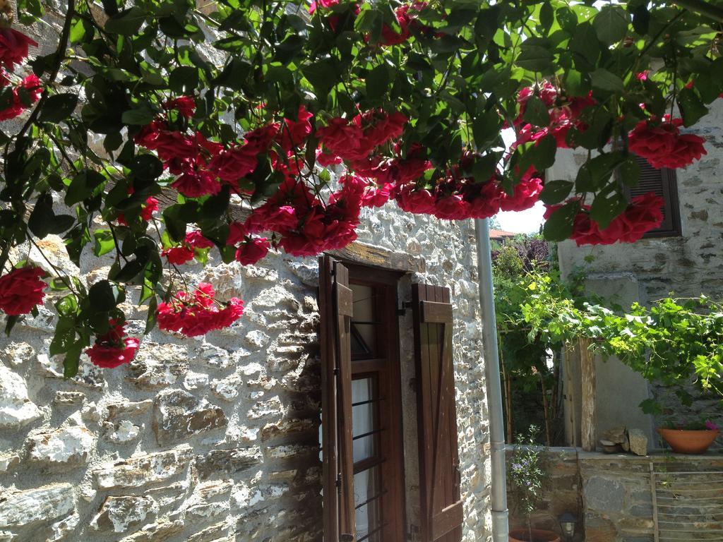 Charming Stone House Villa Parthenon Luaran gambar